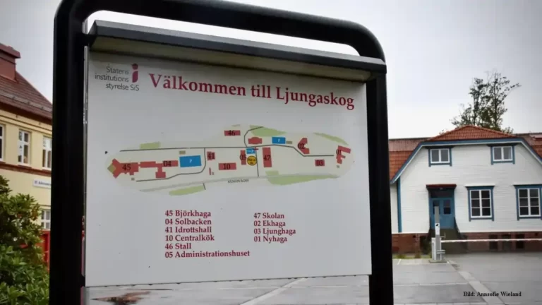 Sis-hem misslyckas med flickors vård
