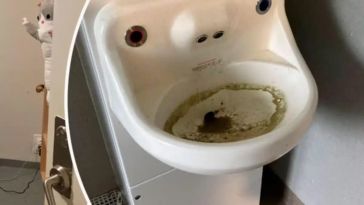 Starka kritiken: ”Det ser ju ut som ett fängelse”