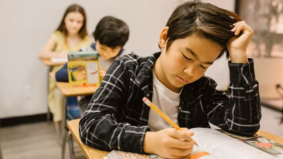 Skolpersonal visste om mobbning – anmälde inte Skolpersonal visste om mobbning – anmälde inte