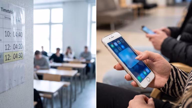Avskedad rektor får nytt förtroendejobb