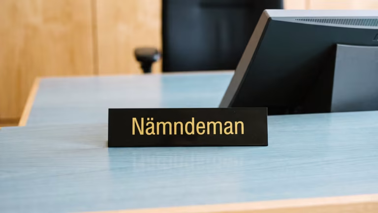 Nämndemän dömda för grova brott – SD flest