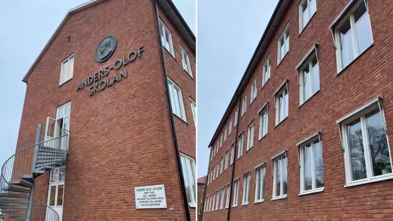 Barn med NPF-diagnos får bristande skolmiljö