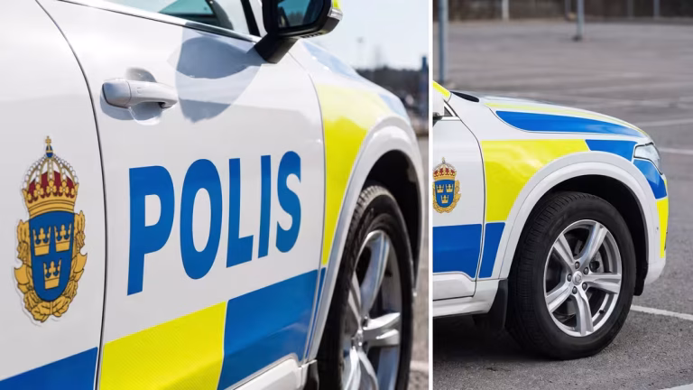 Polis döms för misshandel – får sparken