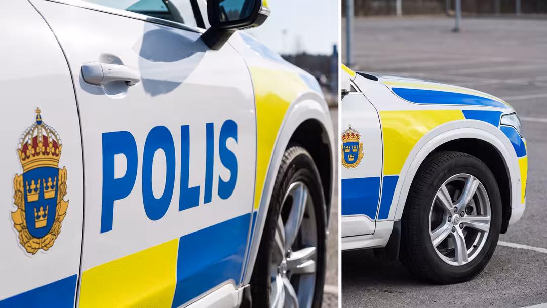 Polis döms för misshandel – får sparken
