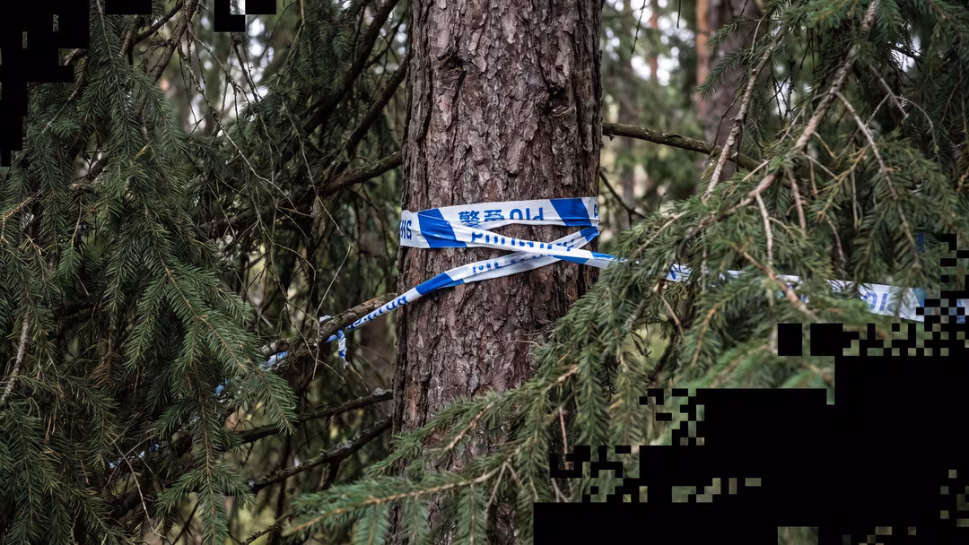 Barn utsatt för grov våldtäkt i Järfälla Barn utsatt för grov våldtäkt i Järfälla