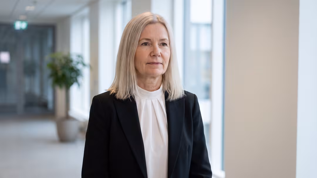 Politiker och vård pressade socialtjänsten i Elsa-fallet