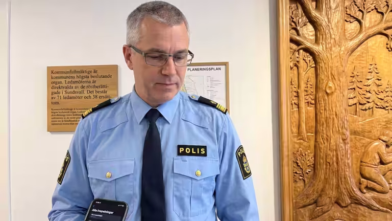 Polischef omplacerad efter anmälan om misshandel