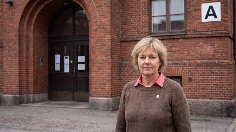 Kommundirektör fattade olagligt beslut om loggar