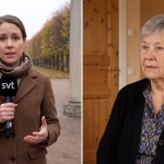 Barn dog efter larm – ministern vill skärpa kontroll