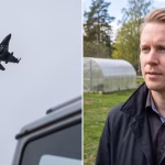 JAS-plan skrämmer djur – häst död i hagen