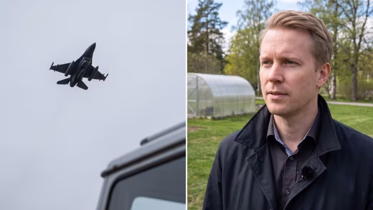 JAS-plan skrämmer djur – häst död i hagen JAS-plan skrämmer djur – häst död i hagen